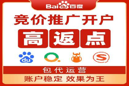 网络推广与竞价策略实战案例